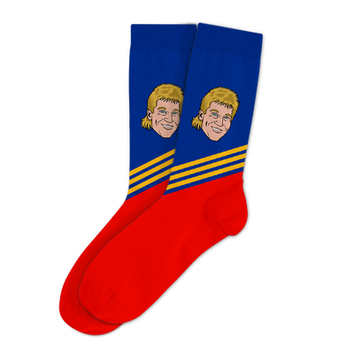 SOCKS-MOCK