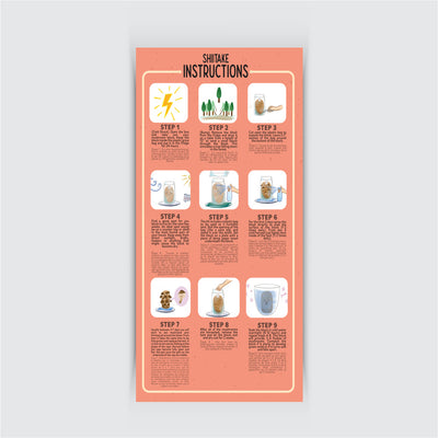 SHIITAKE AT HOME GROW MUSHROOM KIT