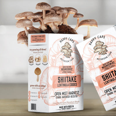 SHIITAKE AT HOME GROW MUSHROOM KIT