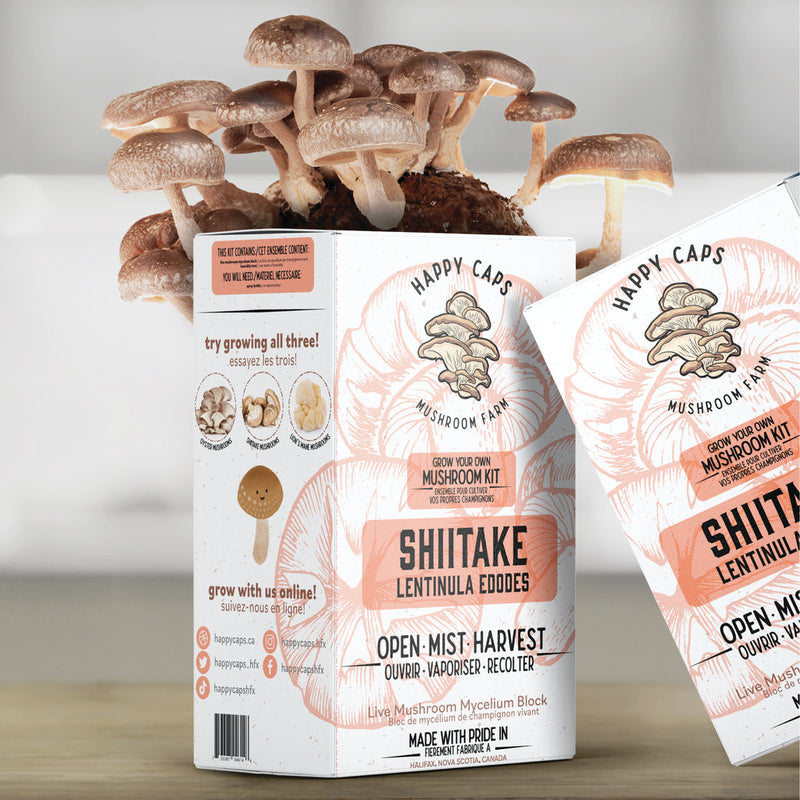 SHIITAKE AT HOME GROW MUSHROOM KIT