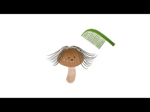 SHIITAKE AT HOME GROW MUSHROOM KIT