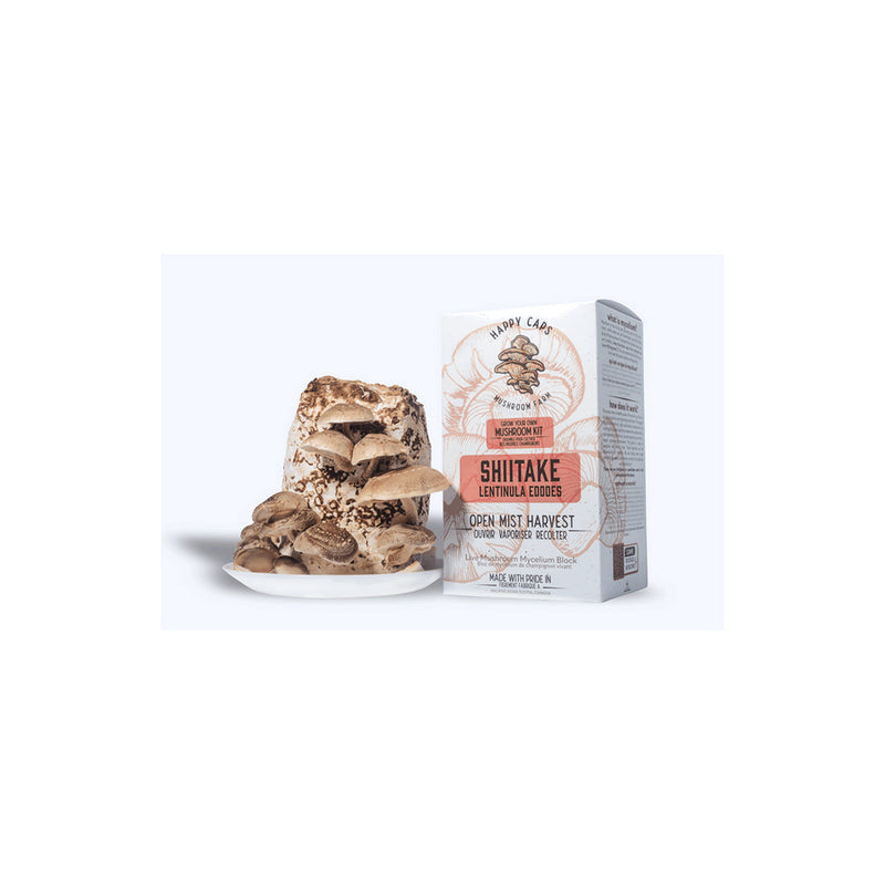 SHIITAKE AT HOME GROW MUSHROOM KIT